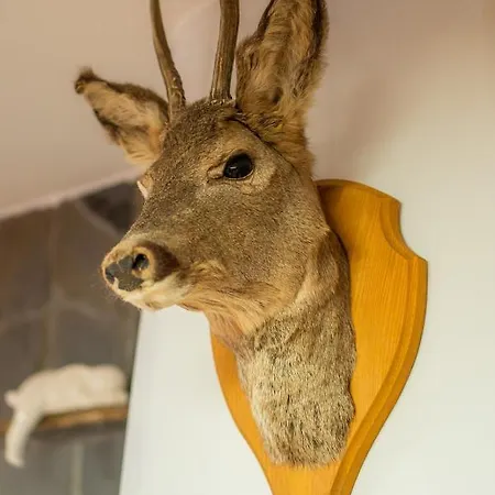 Goscinne U Malgorzaty Jacuzzi & Sauna 3*