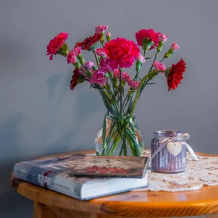 Goscinne U Malgorzaty Jacuzzi & Sauna 3* זקופאנה