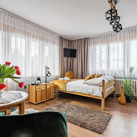 Goscinne U Malgorzaty Jacuzzi & Sauna 3* זקופאנה