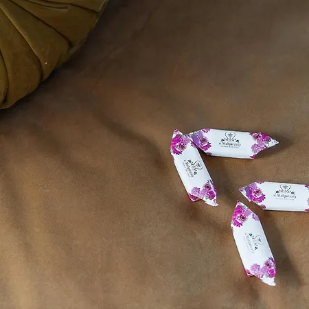 Goscinne U Malgorzaty Jacuzzi & Sauna לינה וארוחת בוקר זקופאנה