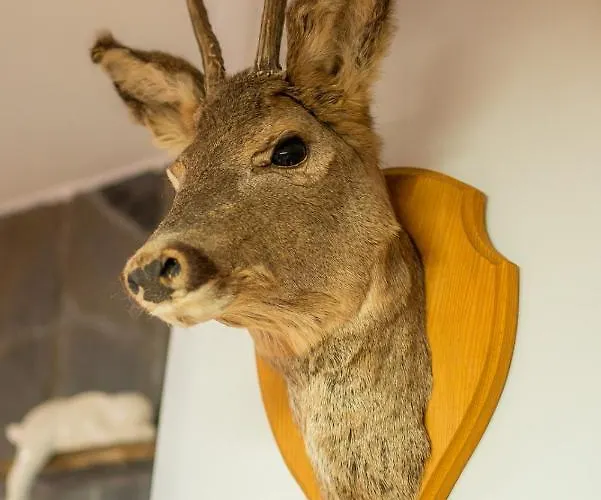 Goscinne U Malgorzaty Jacuzzi & Sauna 3*