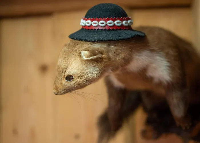 فندق مبيت وإفطار Goscinne U Malgorzaty Jacuzzi & Sauna