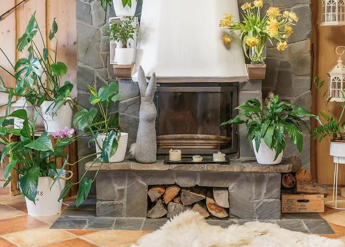 Goscinne U Malgorzaty Jacuzzi & Sauna فندق مبيت وإفطار زاكوباني