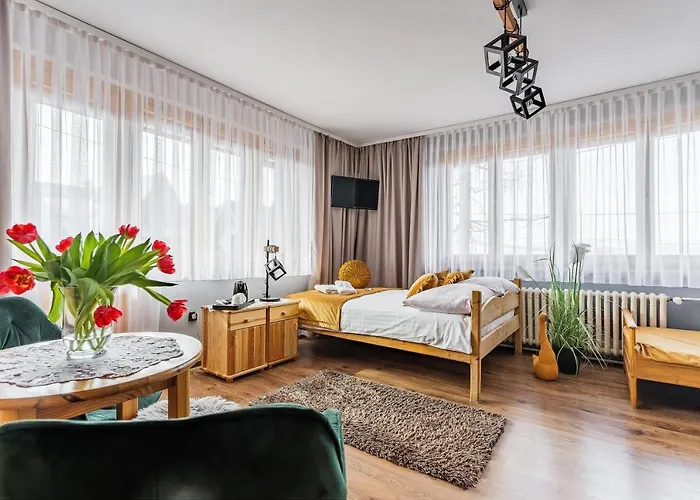 Goscinne U Malgorzaty Jacuzzi & Sauna 3* زاكوباني