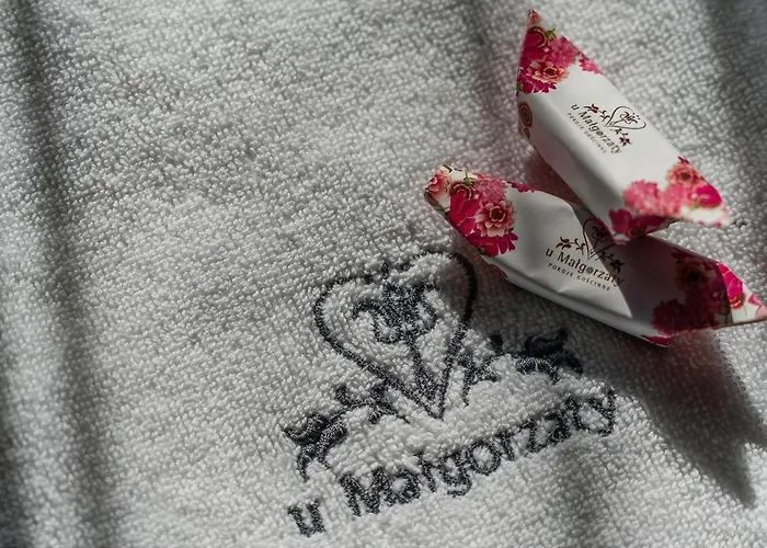 Goscinne U Malgorzaty Jacuzzi & Sauna فندق مبيت وإفطار زاكوباني